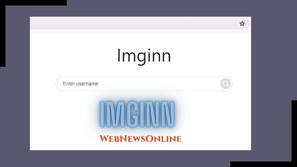 How User Can Use Interface Of Imginn?